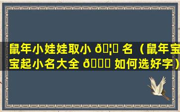 鼠年小娃娃取小 🦄 名（鼠年宝宝起小名大全 🐞 如何选好字）